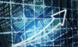 Forex Brokers Secretly Operating in Patagonia