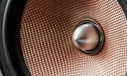 From Cafés to Gyms: Choosing the Right Speaker for Your Business